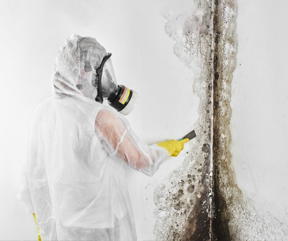 Mould Services in Central Coast - Assessment Corp testing