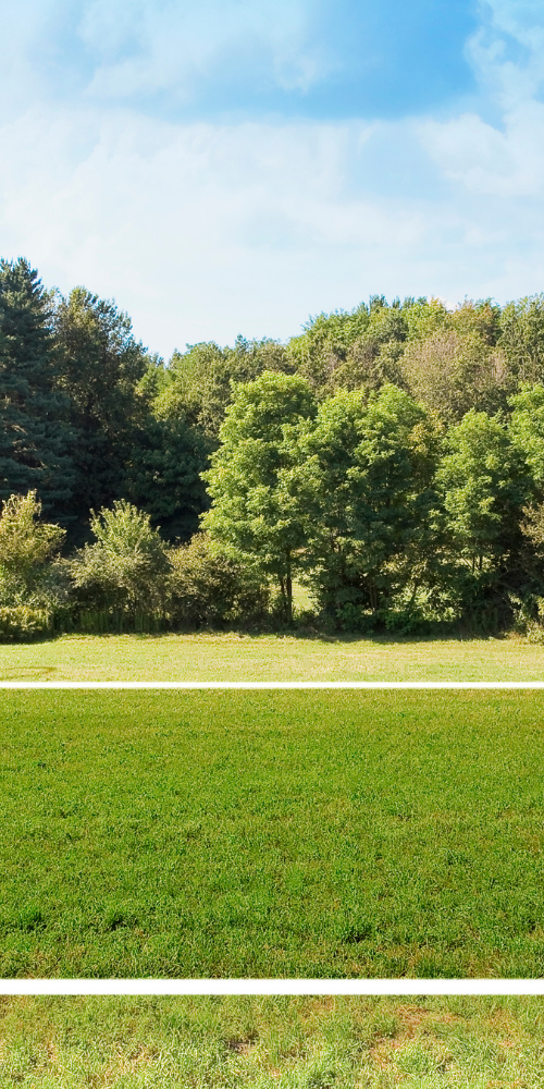 Land for sale in NSW before purchase, highlighting environmental due diligence checks before buying a site