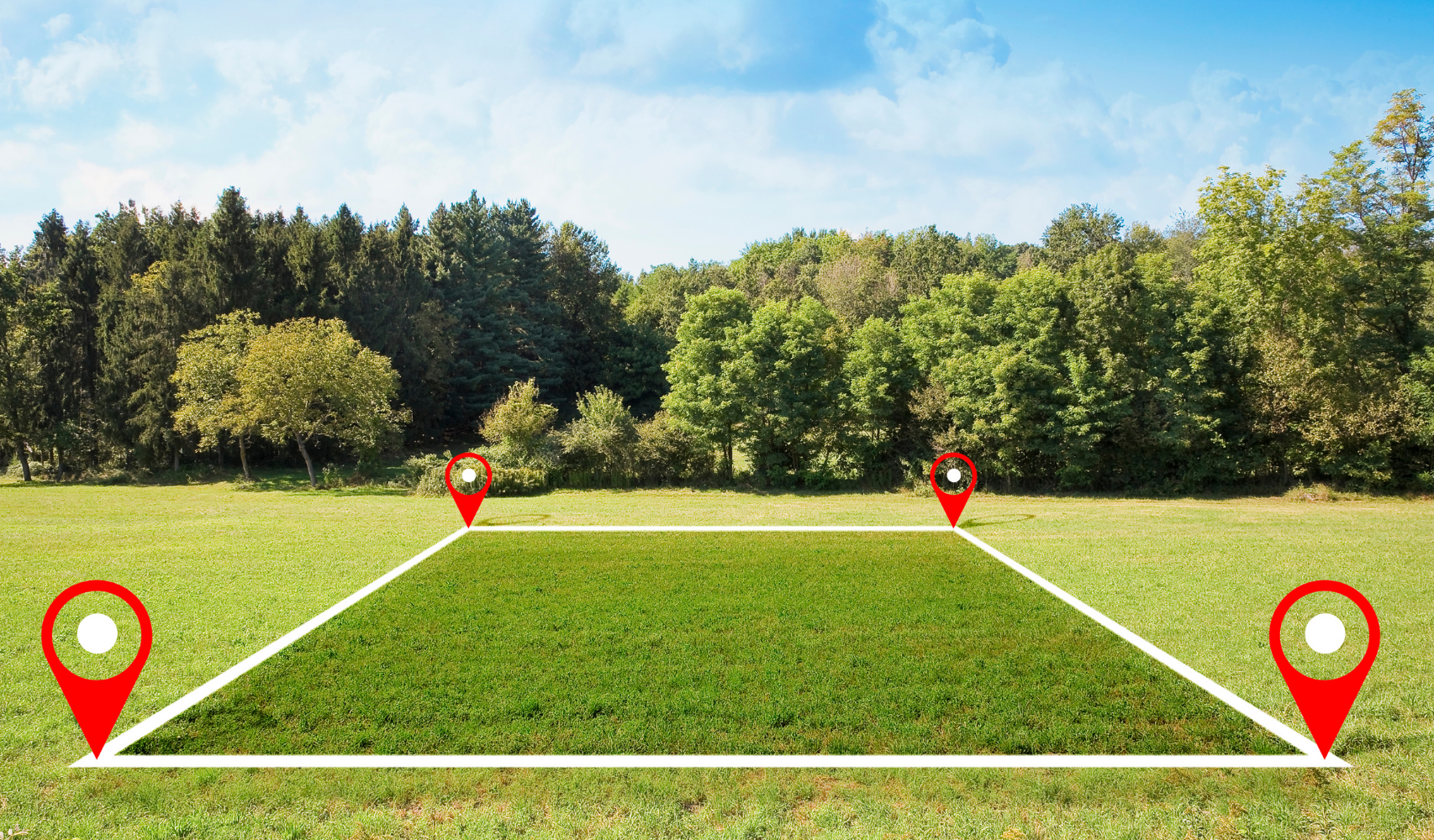5 Environmental Due Diligence Checks Before Buying a Site NSW